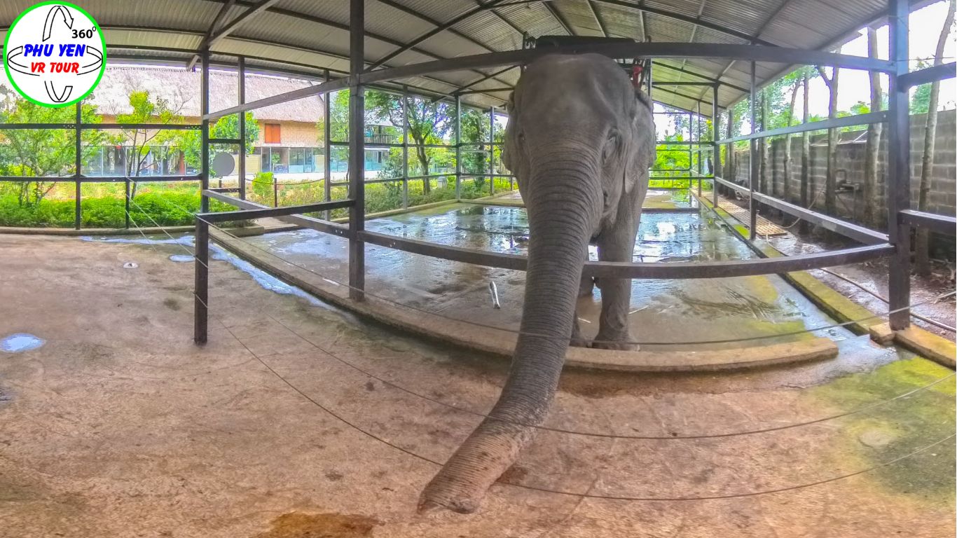 Vân Long Elephants Farm